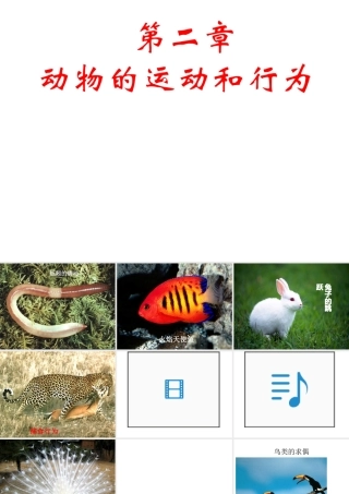 八年级生物上册 第二章 第一节 动物的运动课件 （新版）新人教版