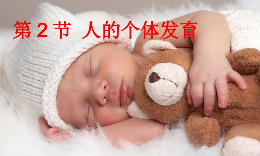 八年级生物上册 第7单元 第21章 第2节 人的个体发育课件1 （新版）苏科版-（新版）苏科级上册生物课件