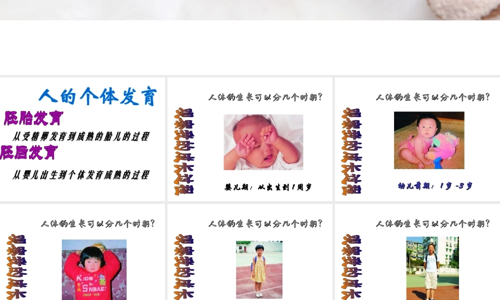 八年级生物上册 第7单元 第21章 第2节 人的个体发育课件1 （新版）苏科版-（新版）苏科级上册生物课件