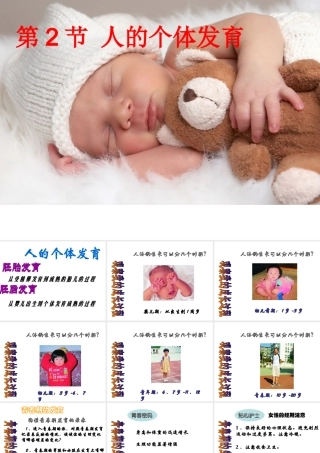 八年级生物上册 第7单元 第21章 第2节 人的个体发育课件1 （新版）苏科版-（新版）苏科级上册生物课件