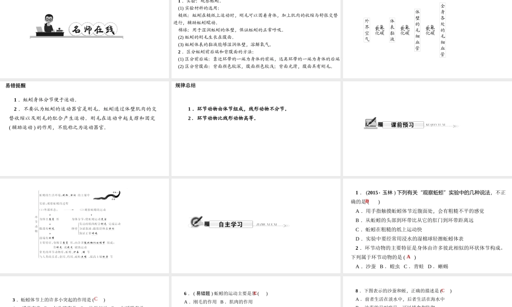 八年级生物上册 第五单元 第一章 第二节 线形动物和环节动物（第2课时 环节动物）习题课件 （新版）新人教版-（新版）新人教级上册生物课件