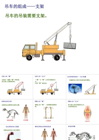 八年级生物上册 第二章 第一节 动物的运动课件 新人教版
