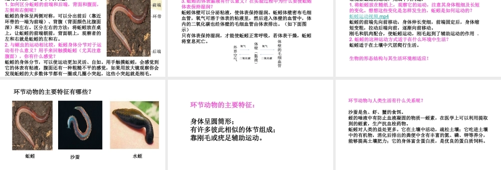 八年级生物上册 第五单元 第一章 第二节 线形动物和环节动物《环节动物》课件 （新版）新人教版-（新版）新人教版初中八年级上册生物课件