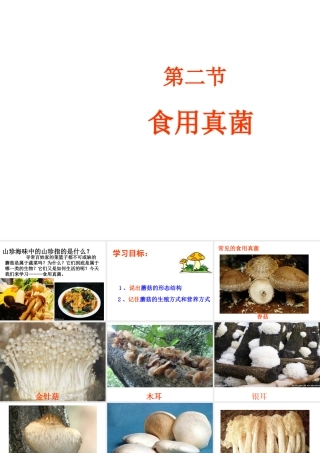 八年级生物上册 第5单元 第2章 第2节《食用真菌》课件 冀教版-冀教级上册生物课件