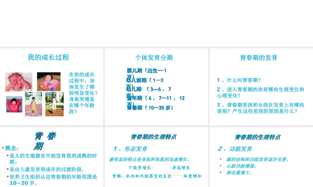 八年级生物上册 第7单元 第21章 第2节 人的个体发育课件2 （新版）苏科版-（新版）苏科级上册生物课件