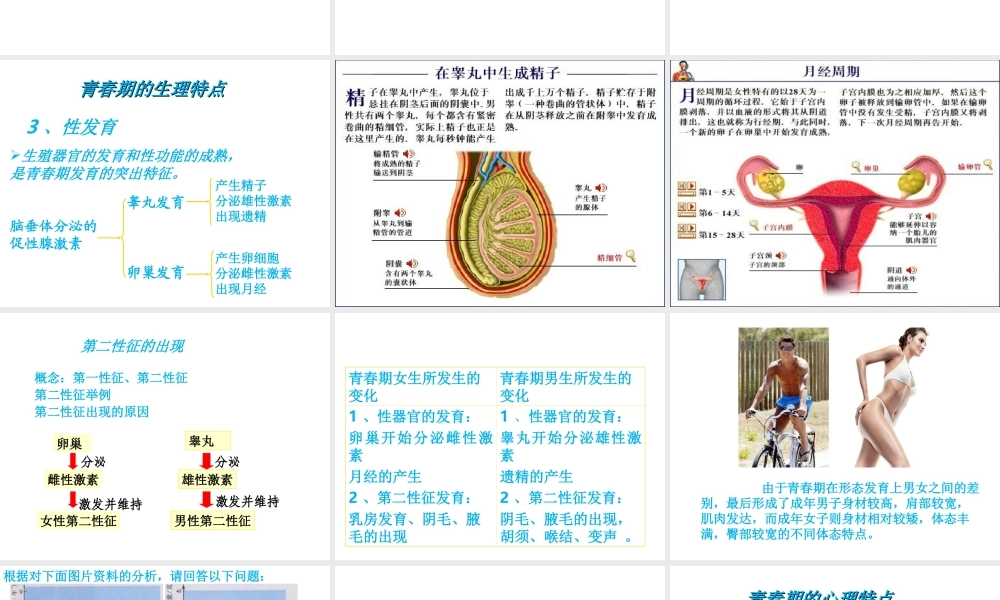八年级生物上册 第7单元 第21章 第2节 人的个体发育课件2 （新版）苏科版-（新版）苏科级上册生物课件