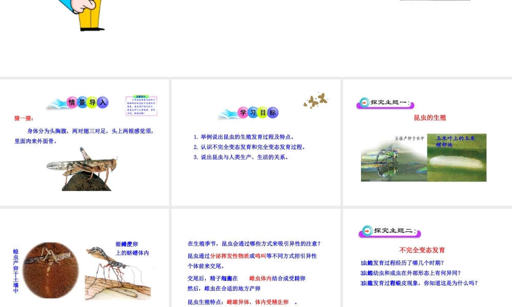 八年级生物上册 第二章 第一节 昆虫的生殖和发育课件 济南版