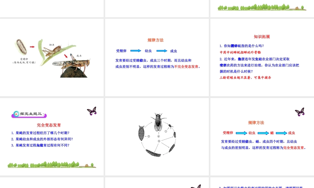 八年级生物上册 第二章 第一节 昆虫的生殖和发育课件 济南版