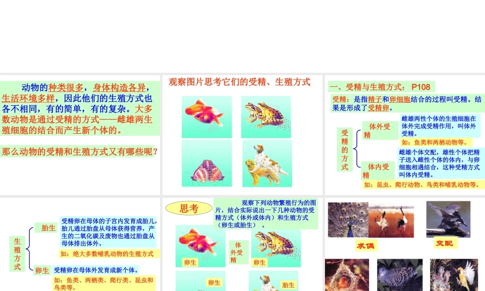 八年级生物上册 第7单元 第第1节 动物的生殖课件 （新版）苏科版-（新版）苏科级上册生物课件