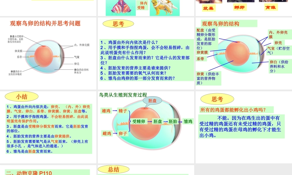八年级生物上册 第7单元 第第1节 动物的生殖课件 （新版）苏科版-（新版）苏科级上册生物课件