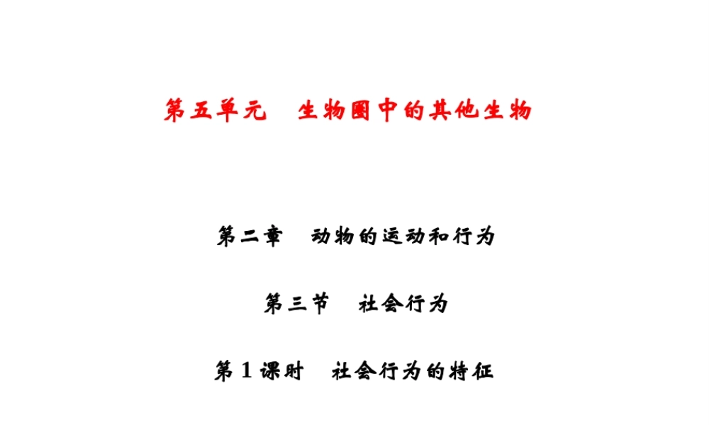 八年级生物上册 第5单元 第2章 第3节 社会行为（第1课时 社会行为的特征）习题课件 （新版）新人教版-（新版）新人教版初中八年级上册生物课件