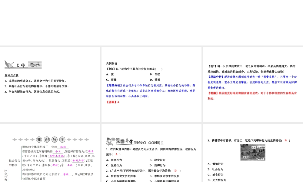 八年级生物上册 第5单元 第2章 第3节 社会行为（第1课时 社会行为的特征）习题课件 （新版）新人教版-（新版）新人教版初中八年级上册生物课件