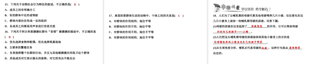 八年级生物上册 第5单元 第2章 第3节 社会行为（第1课时 社会行为的特征）习题课件 （新版）新人教版-（新版）新人教版初中八年级上册生物课件
