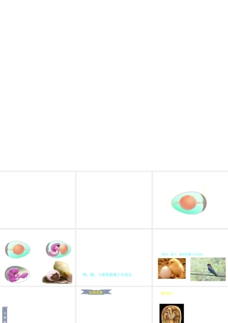 八年级生物上册 第7单元 第第2节 动物的发育课件1 （新版）苏科版-（新版）苏科级全册生物课件