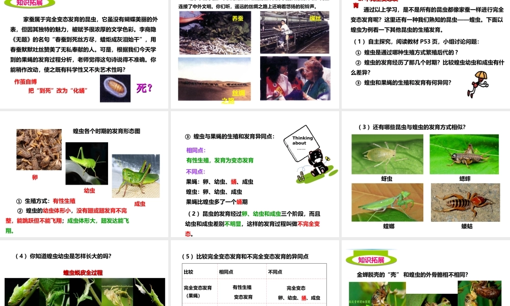 八年级生物上册 第二章 第一节《昆虫的生殖和发育》课件 （新版）济南版