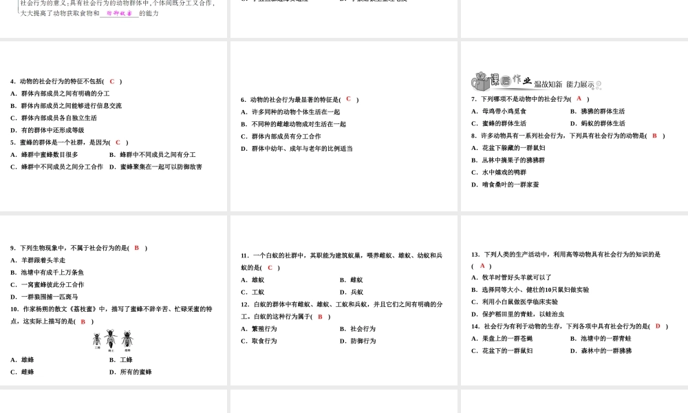 八年级生物上册 第5单元 第2章 第3节 社会行为（第1课时 社会行为的特征）习题课件 （新版）新人教版-（新版）新人教级上册生物课件