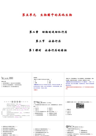 八年级生物上册 第5单元 第2章 第3节 社会行为（第1课时 社会行为的特征）习题课件 （新版）新人教版-（新版）新人教级上册生物课件