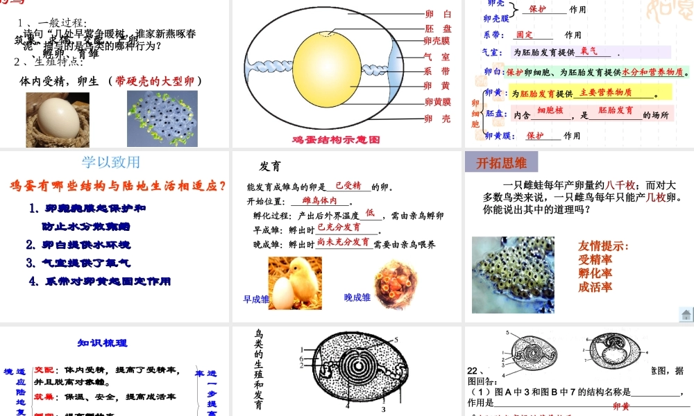 八年级生物上册 第二章 动物的生殖发育复习课件 济南版