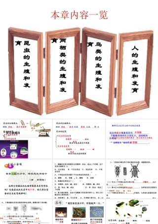 八年级生物上册 第二章 动物的生殖发育复习课件 济南版