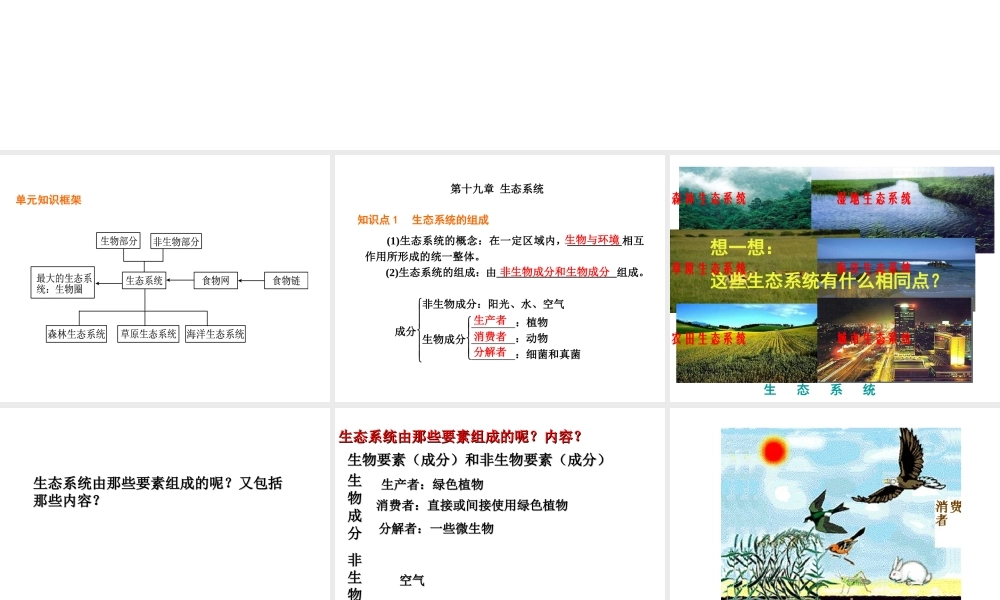 八年级生物上册 第7单元 生物和环境是统一体复习课件 苏教版-苏教版初中八年级上册生物课件