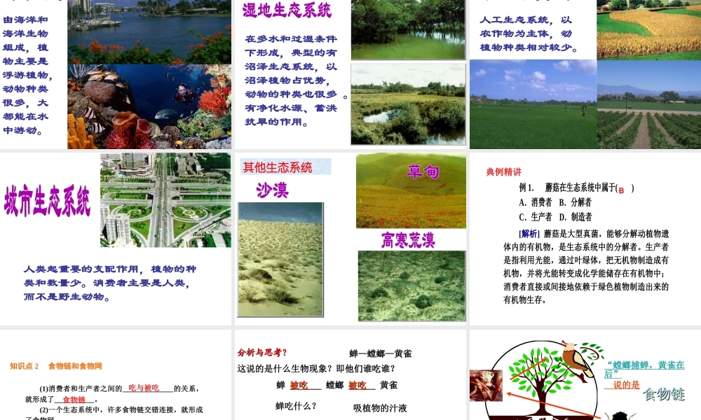 八年级生物上册 第7单元 生物和环境是统一体复习课件 苏教版-苏教版初中八年级上册生物课件