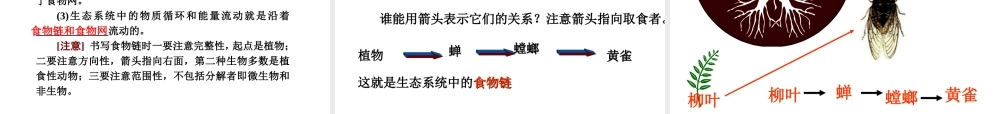 八年级生物上册 第7单元 生物和环境是统一体复习课件 苏教版-苏教版初中八年级上册生物课件