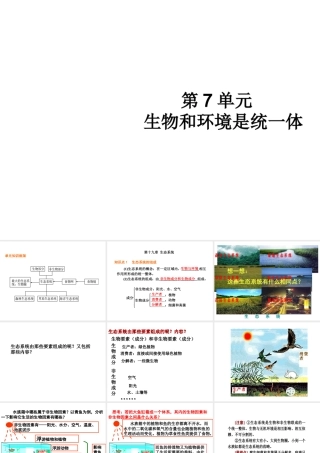八年级生物上册 第7单元 生物和环境是统一体复习课件 苏教版-苏教版初中八年级上册生物课件
