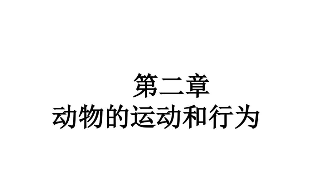 八年级生物上册 第二章 动物的运动和行为 第一节 动物的运动课件 新人教版