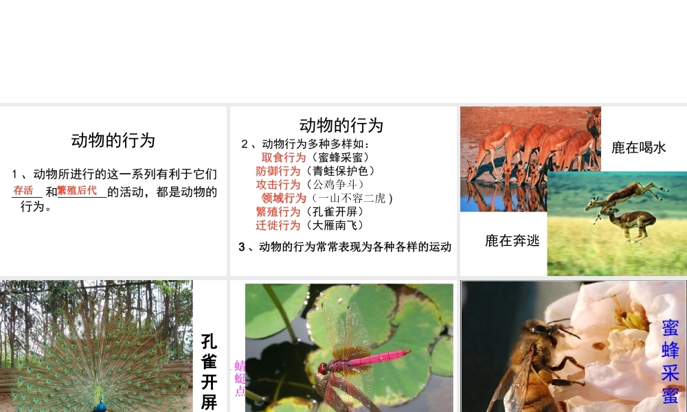 八年级生物上册 第二章 动物的运动和行为 第一节 动物的运动课件 新人教版