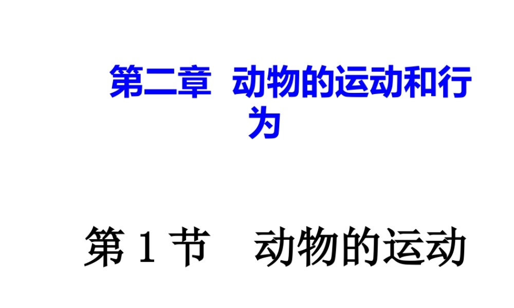 八年级生物上册 第二章 动物的运动和行为课件 人教新课标版