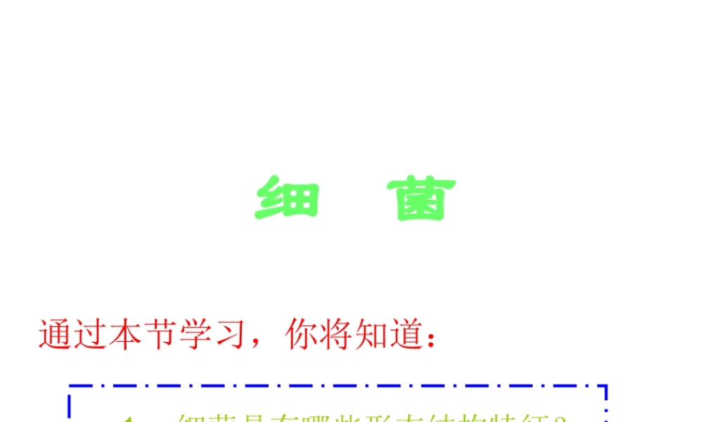 八年级生物上册 第二章 细菌和真菌 第二节 细菌课件 新人教版