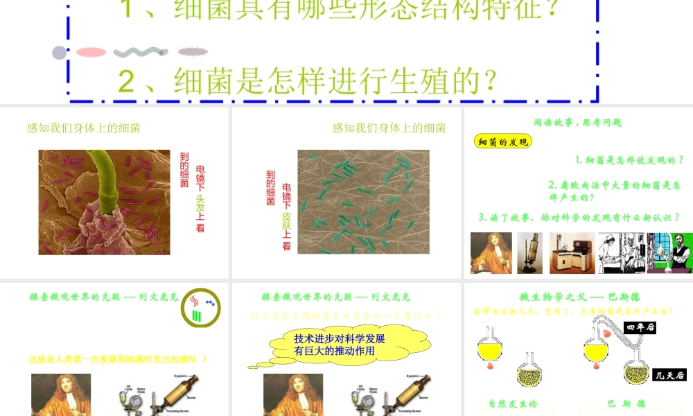 八年级生物上册 第二章 细菌和真菌 第二节 细菌课件 新人教版