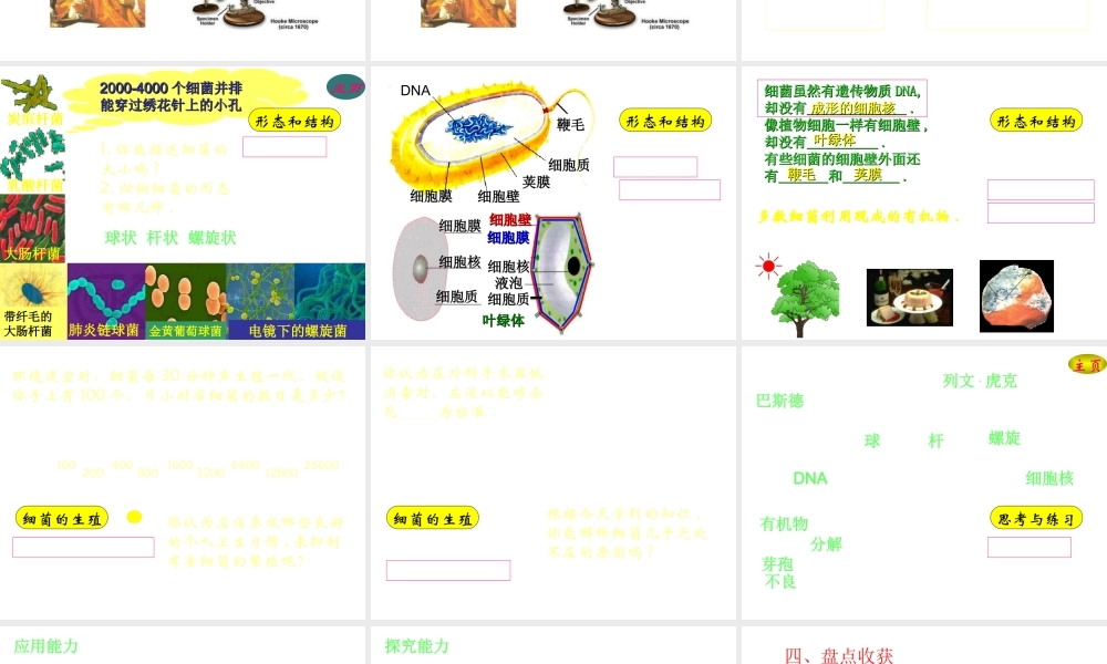 八年级生物上册 第二章 细菌和真菌 第二节 细菌课件 新人教版