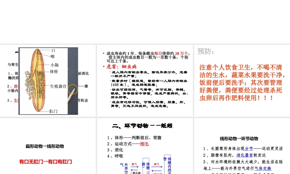 八年级生物上册 第五单元 第一章 第二节 线形动物和环节动物课件 （新版）新人教版