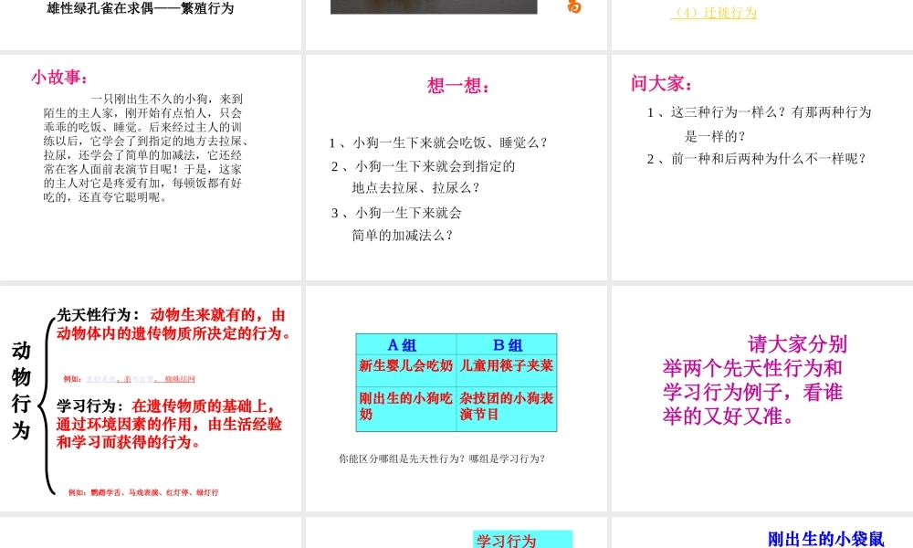 八年级生物上册 第二章第2节先天性行为和学习行为课件  人教新课标版