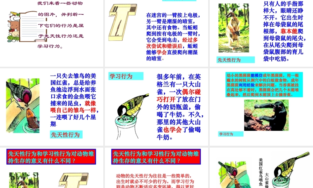 八年级生物上册 第二章第2节先天性行为和学习行为课件  人教新课标版