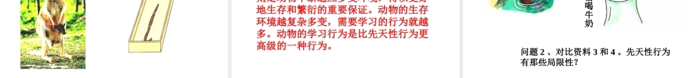 八年级生物上册 第二章第2节先天性行为和学习行为课件  人教新课标版