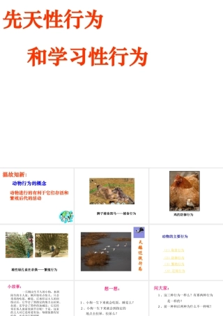 八年级生物上册 第二章第2节先天性行为和学习行为课件  人教新课标版