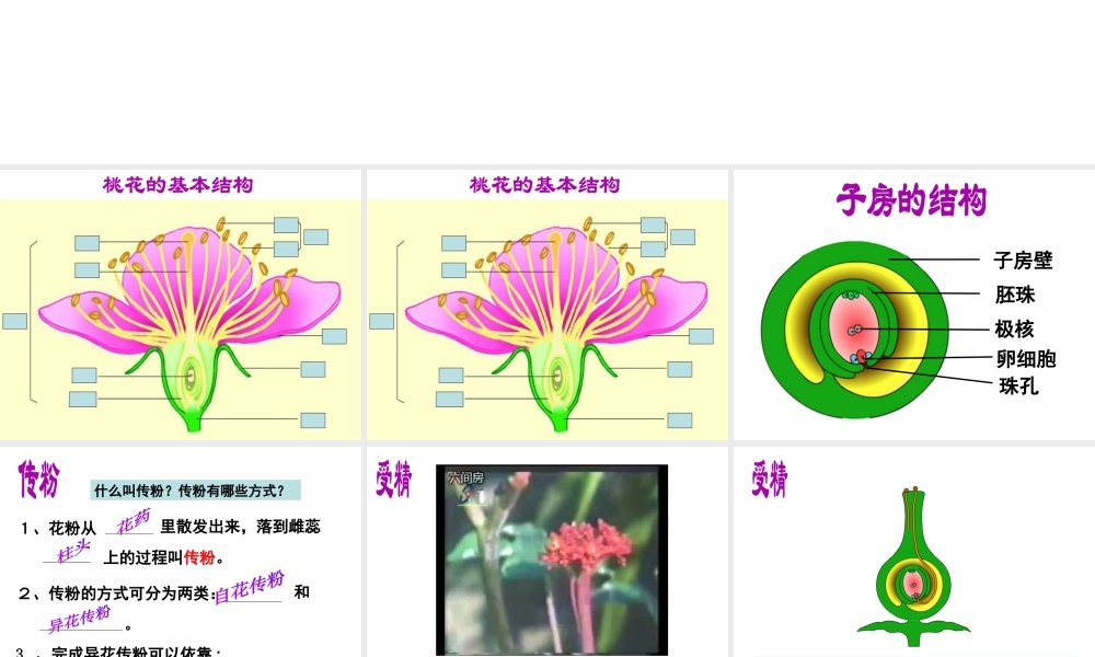 八年级生物上册 第七单元 19.1 植物的生殖教学课件 苏科版-苏科级上册生物课件