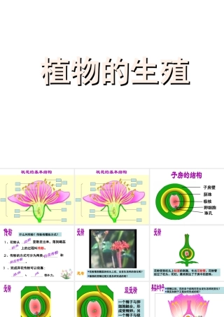 八年级生物上册 第七单元 19.1 植物的生殖教学课件 苏科版-苏科级上册生物课件