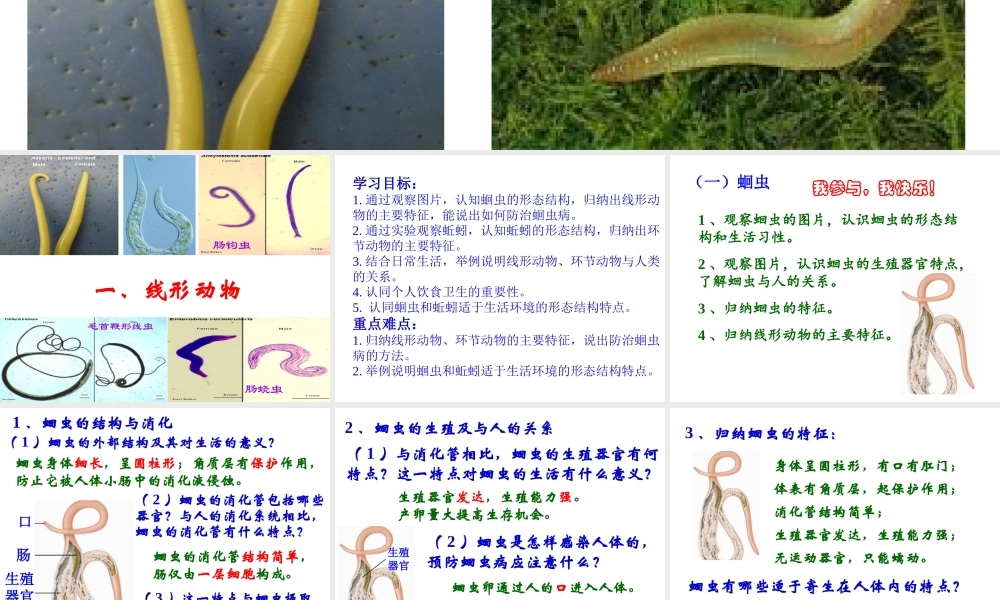 八年级生物上册 第五单元 第一章 第二节 线形动物和环节动物课件 新人教版
