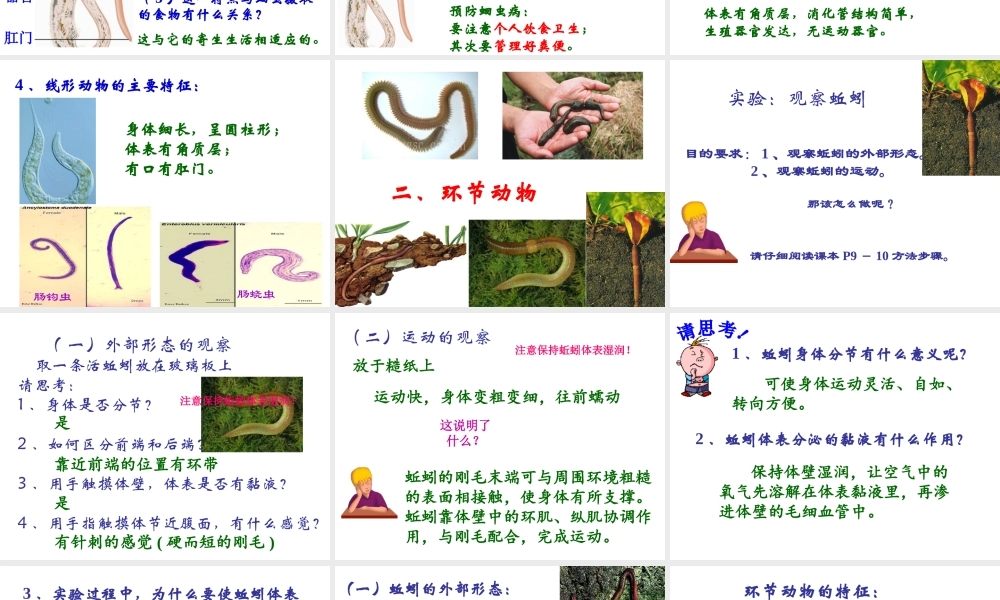 八年级生物上册 第五单元 第一章 第二节 线形动物和环节动物课件 新人教版