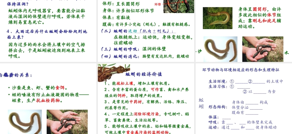 八年级生物上册 第五单元 第一章 第二节 线形动物和环节动物课件 新人教版