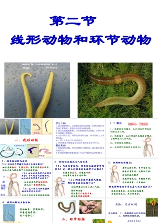 八年级生物上册 第五单元 第一章 第二节 线形动物和环节动物课件 新人教版