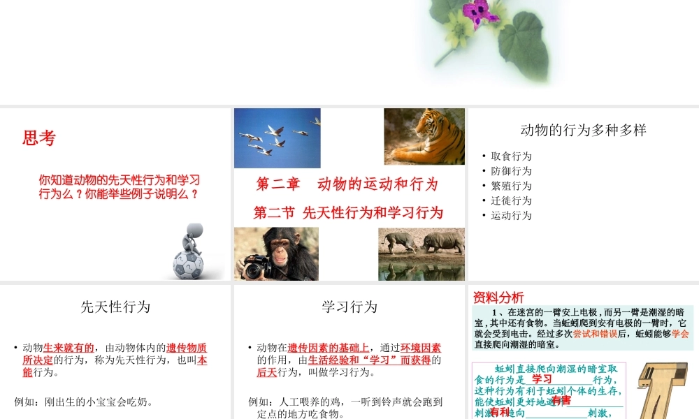 八年级生物上册 第七单元 第二章 第二节 先天性行为和学习行为课件 鲁科版五四制-鲁科版初中八年级上册生物课件