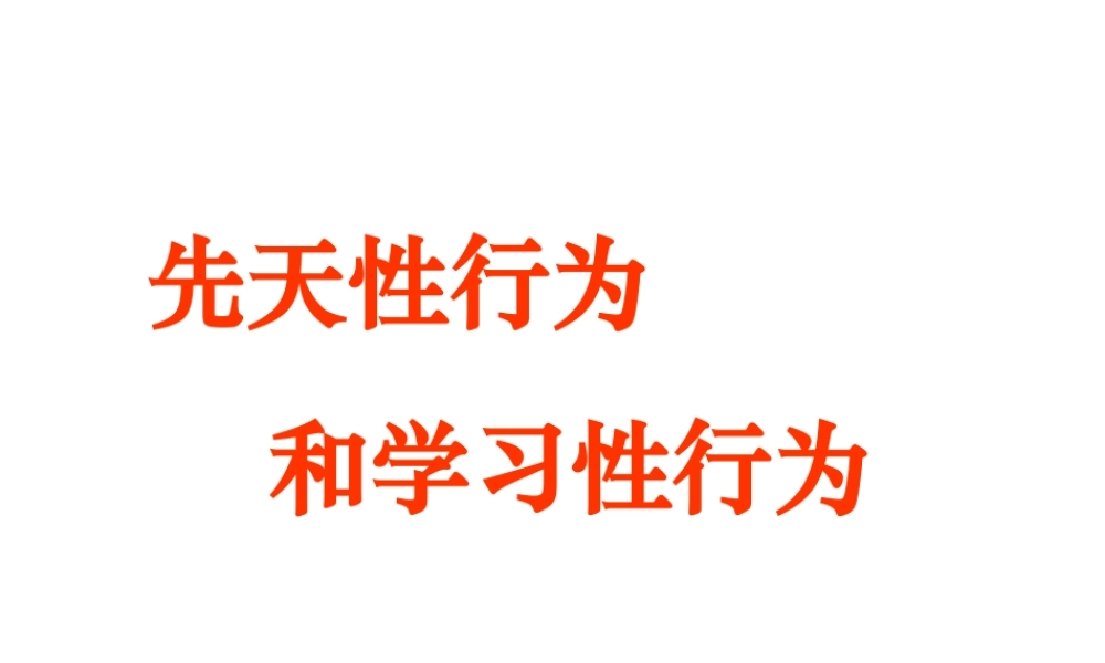 八年级生物上册 第5单元 第2章 动物的运动和行为 第二节 先天性行为和学习行为课件2 新人教版