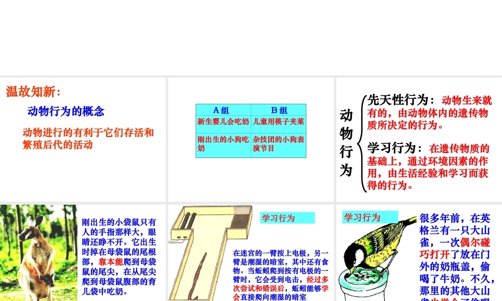 八年级生物上册 第5单元 第2章 动物的运动和行为 第二节 先天性行为和学习行为课件2 新人教版