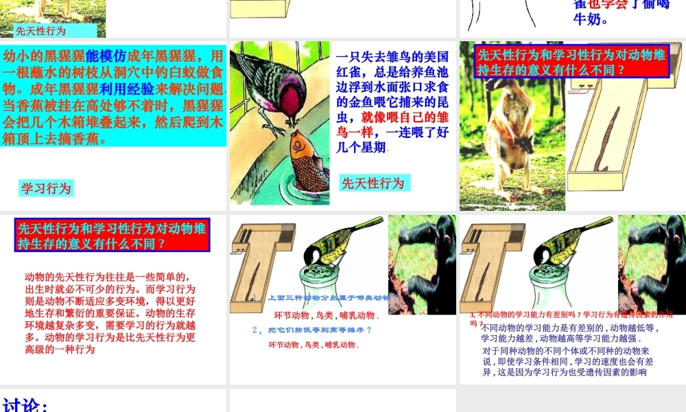 八年级生物上册 第5单元 第2章 动物的运动和行为 第二节 先天性行为和学习行为课件2 新人教版