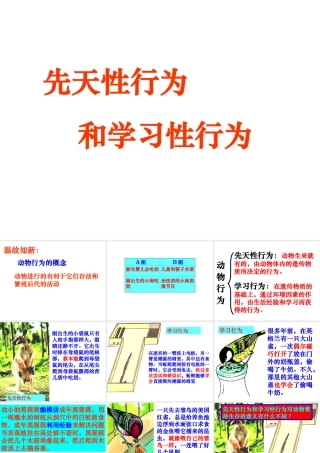 八年级生物上册 第5单元 第2章 动物的运动和行为 第二节 先天性行为和学习行为课件2 新人教版
