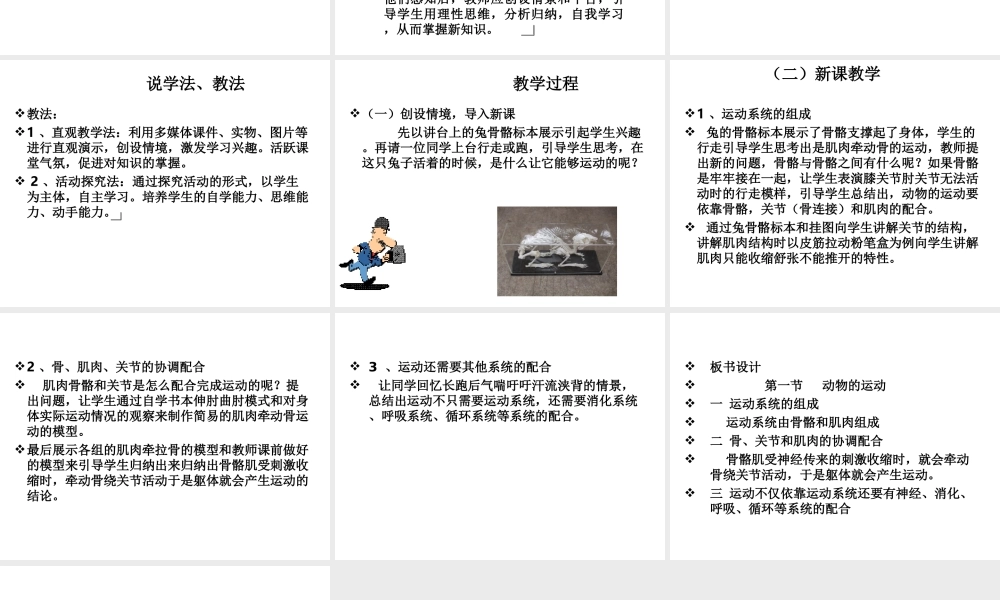 八年级生物上册 第二章动物的运动说课课件 人教新课标版